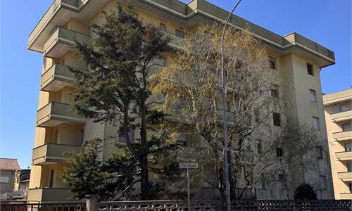 Ampio trilocale e servizi 