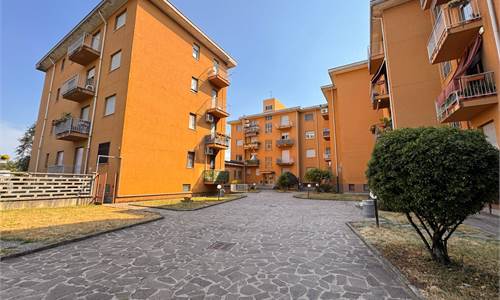 Ampio trilocale e servizi